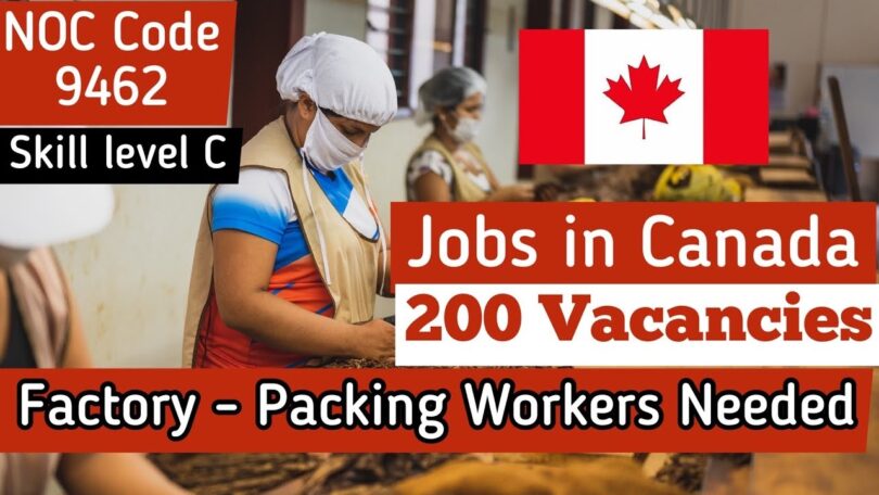 High Paying Jobs That Comes With Canada Visa Sponsorships For Foreigners
